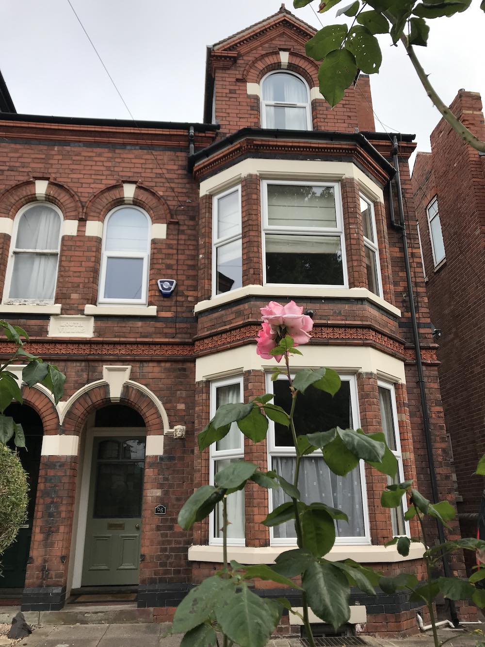 Roses in the front garden
