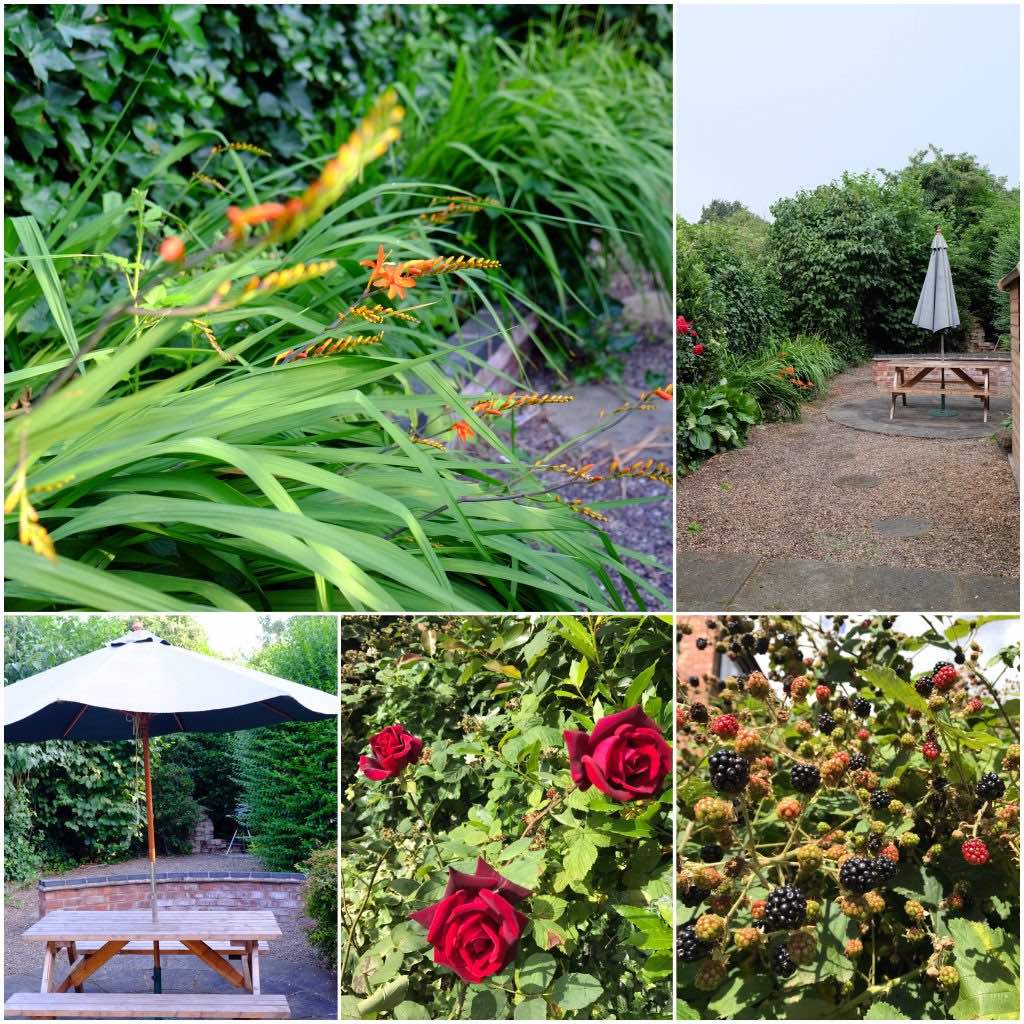 Images of the back garden at 66 Sherwin Road